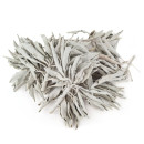 Kadilo beli žajbelj vejice + lističi