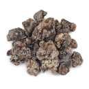 Kadilo Sibirska cedra, smola