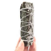 A hand-rolled smudge stick of white sage and dark green cedar, tied with string, in a hand