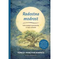Knjiga Radostna modrost, Yongey Mingyur Rinpoče in Eric Swanson