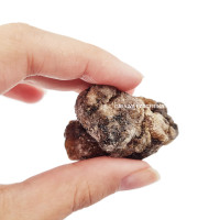 Kadilo Sibirska cedra, smola