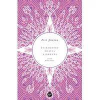 Štirideset pravil ljubezni, Alif Shafak