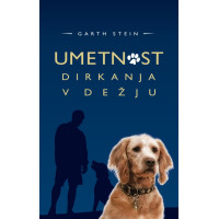 Umetnost dirkanja v dežju