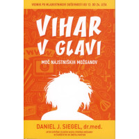 Vihar v glavi