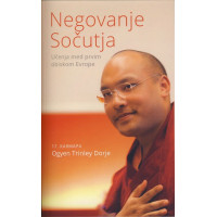 Negovanje Sočutja