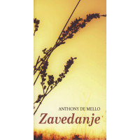 Zavedanje