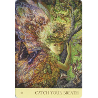 Karte Nature's Whispers Oracle cards