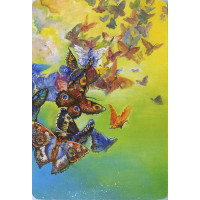 Karte Nature's Whispers Oracle cards