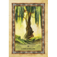Orakeljske karte Celtic Tree Oracle
