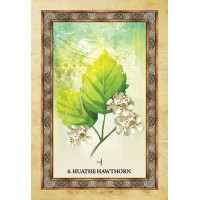 Orakeljske karte Celtic Tree Oracle