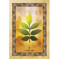 Orakeljske karte Celtic Tree Oracle