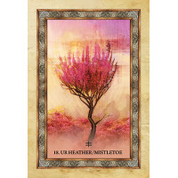 Orakeljske karte Celtic Tree Oracle
