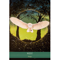 Karte Shamanic Medicine Oracle Cards