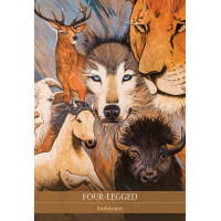 Karte Shamanic Medicine Oracle Cards