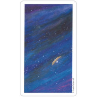 Karte Vision Quest Tarot