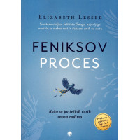 Feniksov proces