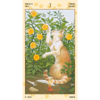 Karte Tarot of Pagan Cats