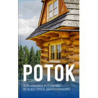 Potok