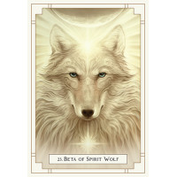 Karte White Light Oracle - Enter the Luminous Heart of the Sacred