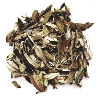 Yerba Santa Incense