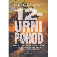 12-urni pohod