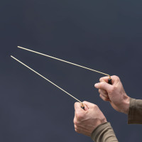 L antena za radiestezijske preiskave