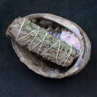 Incense white sage - eucalyptus, small smudge stick