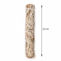 Beli žajbelj - White sage - velik zvitek