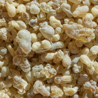 Incense Boswellia sacra - yellow-white boswellia from Oman - Superior Hojari 25 g