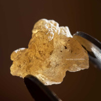 Incense resin Boswellia Serrata or Indian boswellia 1. quality