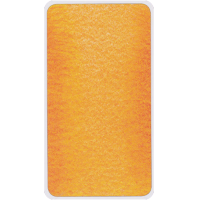 Karte The Wisdom Seeker's Tarot