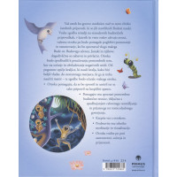 Mali Buda za lahko noč