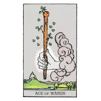Karte Tarot of A.E. Waite - Modra izdaja