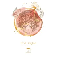 Karte Maya Astro cards