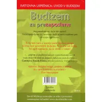 Budizem za prezaposlene