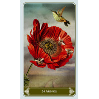 Karte Christepahnia Kipper