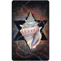 Karte Totem Guardians Oracle Deck