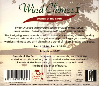 CD Wind Chimes I