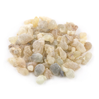 Kadilo Boswellia sacra - zeleni Royal Hojari Oman - kadilna bosvelija