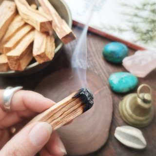 Hand holding a small pile of Palo Santo sticks – premium holy wood for meditation, spiritual rituals, and energy cleansing