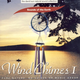 CD Wind Chimes I