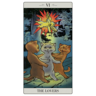 Karte The Way Jodorowsky Explained Tarot To His Cat C