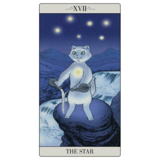 Karte The Way Jodorowsky Explained Tarot To His Cat Cards