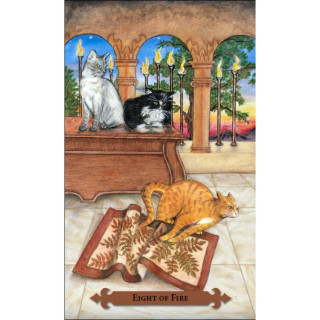 Karte Mystical cats tarot