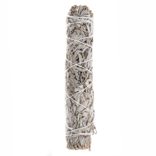 White Sage smudge stick - large 23 cm