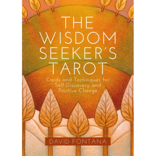Karte The Wisdom Seeker's Tarot
