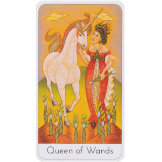 Karte The Wisdom Seeker's Tarot