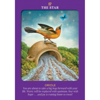 Karte Animal Guides tarot