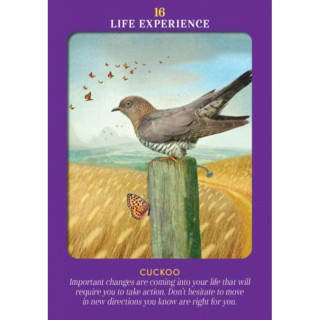 Karte Animal Guides tarot