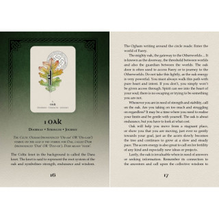 Celtic Spirit Oracle Cards